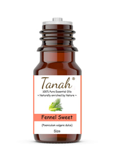 Fennel, Sweet (France) essential oil (Foeniculum vulgare dulce) | Tanah Essential Oil Company