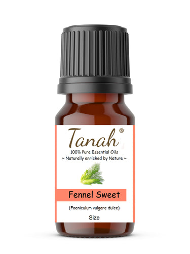 Fennel, Sweet (France) essential oil (Foeniculum vulgare dulce)| | Where to buy? Tanah Essential Oil Company | Retail |  Wholesale | Australia