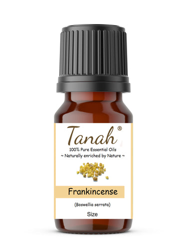 Frankincense, Serrata (India) essential oil (Boswellia Serrata) | Where to buy? Tanah Essential Oil Company | Retail |  Wholesale | Australia