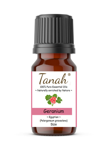 Geranium (Egypt) essential oil (Pelargoneum graveolens) | Where to buy? Tanah Essential Oil Company | Retail |  Wholesale | Australia