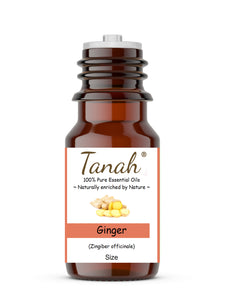 Ginger (China) essential oil (Zingiber Officinale) | Tanah Essential Oil Company