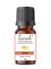 Load image into Gallery viewer, Ginger (China) essential oil (Zingiber Officinale) | Where to buy? Tanah Essential Oil Company | Retail |  Wholesale | Australia
