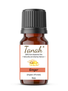 Ginger (China) essential oil (Zingiber Officinale) | Where to buy? Tanah Essential Oil Company | Retail |  Wholesale | Australia
