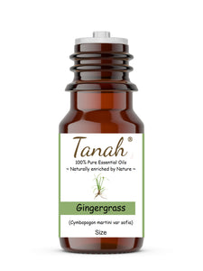 Gingergrass (India) essential oil (Cymbopogon martini var sofia) | Tanah Essential Oil Company