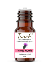 Load image into Gallery viewer, Honey Myrtle (Australia) essential oil (Melaleuca armillaris) | Tanah Essential Oil Company
