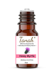 Honey Myrtle (Australia) essential oil (Melaleuca armillaris) | Tanah Essential Oil Company