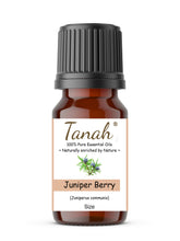 Load image into Gallery viewer, Juniper Berry (Macedonia) essential oil (Juniperus communis) | Where to buy? Tanah Essential Oil Company | Retail |  Wholesale | Australia
