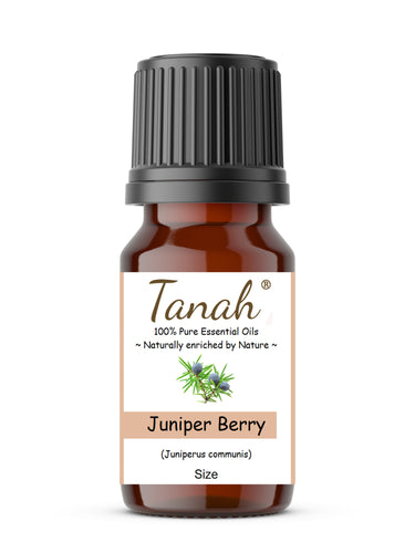 Juniper Berry (Macedonia) essential oil (Juniperus communis) | Where to buy? Tanah Essential Oil Company | Retail |  Wholesale | Australia