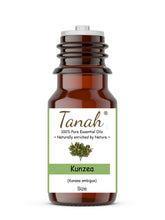 Load image into Gallery viewer, Kunzea (Australia) essential oil (Kunzea ambigua) | Tanah Essential Oil Company
