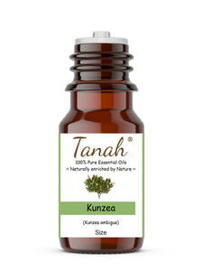 Kunzea (Australia) essential oil (Kunzea ambigua) | Tanah Essential Oil Company