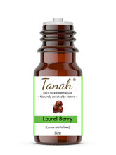 Load image into Gallery viewer, Laurel Berry (Turkey) essential oil (Laurus nobilis linne) | Tanah Essential Oil Company
