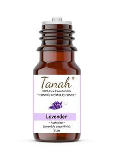 Lavender (Australia) essential oil (Lavandula angustifolia) | Tanah Essential Oil Company