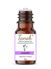 Load image into Gallery viewer, Lavandin (France) essential oil (Angustifolia x Latifolia) | Tanah Essential Oil Company
