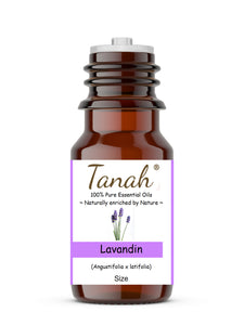 Lavandin (France) essential oil (Angustifolia x Latifolia) | Tanah Essential Oil Company
