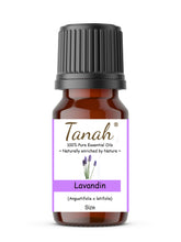 Load image into Gallery viewer, Lavandin (France) essential oil (Angustifolia x Latifolia) | Where to buy? Tanah Essential Oil Company | Retail |  Wholesale | Australia
