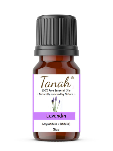 Lavandin (France) essential oil (Angustifolia x Latifolia) | Where to buy? Tanah Essential Oil Company | Retail |  Wholesale | Australia