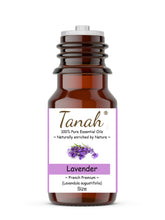 Load image into Gallery viewer, Lavender, Premium (France) essential oil (Lavandula angustifolia) | Tanah Essential Oil Company
