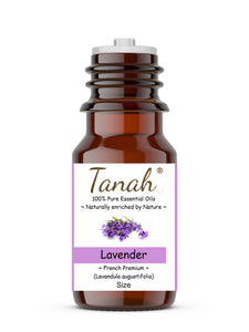 Lavender, Premium (France) essential oil (Lavandula angustifolia) | Tanah Essential Oil Company
