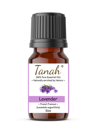 Lavender, Premium (France) essential oil (Lavandula angustifolia) | Tanah Essential Oil Company