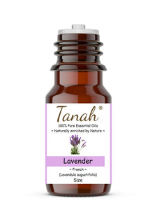 Lavender, Natural (France) essential oil (Lavandula angustifolia) | Tanah Essential Oil Company