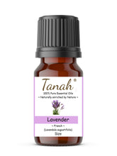 Load image into Gallery viewer, Lavender, Natural (France) essential oil (Lavandula angustifolia) | Where to buy? Tanah Essential Oil Company | Retail |  Wholesale | Australia
