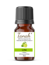 Load image into Gallery viewer, Lime (Italy) essential oil (Citrus aurantifolia) | Where to buy? Tanah Essential Oil Company | Retail |  Wholesale | Australia

