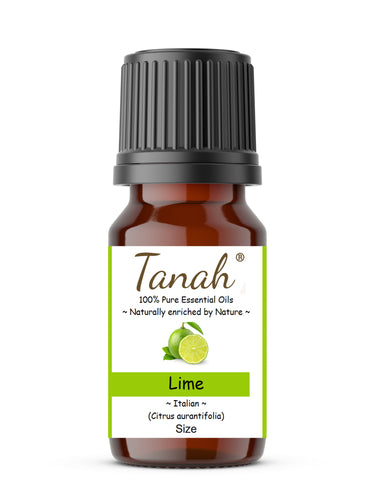 Lime (Italy) essential oil (Citrus aurantifolia) | Where to buy? Tanah Essential Oil Company | Retail |  Wholesale | Australia