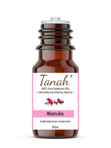 Manuka (New Zealand) essential oil (Leptospermum scorparium) | Tanah Essential Oil Company
