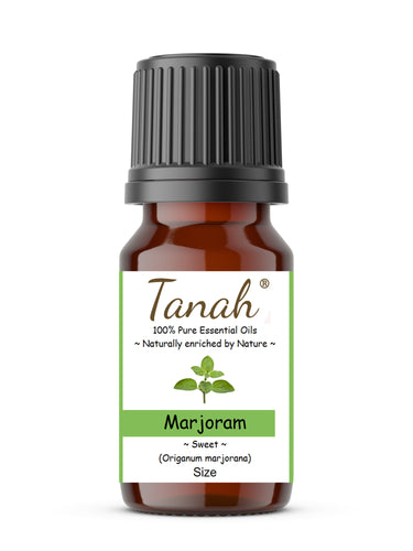 Marjoram, Sweet (Spain) essential oil (Origanum marjorana) | Where to buy? Tanah Essential Oil Company | Retail |  Wholesale | Australia