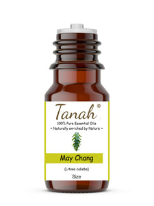May Chang (China) essential oil (Litsea cubeba) | Tanah Essential Oil Company