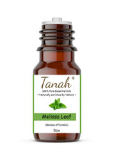 Load image into Gallery viewer, Melissa Leaf (France) essential oil (Melissa officinalis) | Tanah Essential Oil Company

