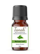 Load image into Gallery viewer, Melissa Leaf (France) essential oil (Melissa officinalis) | Where to buy? Tanah Essential Oil Company | Retail |  Wholesale | Australia

