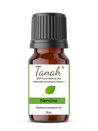 Nerolina (Australia) essential oil (Melaleuca quinquenervia) | Where to buy? Tanah Essential Oil Company | Retail |  Wholesale | Australia