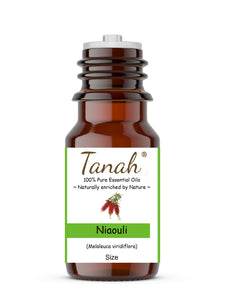 Niaouli (Australia) essential oil (Melaleuca viridiflora) | Tanah Essential Oil Company