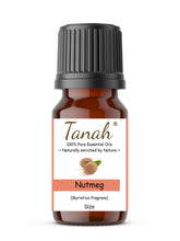 Load image into Gallery viewer, Nutmeg (India) essential oil (Myristica fragrans) | Where to buy? Tanah Essential Oil Company | Retail |  Wholesale | Australia
