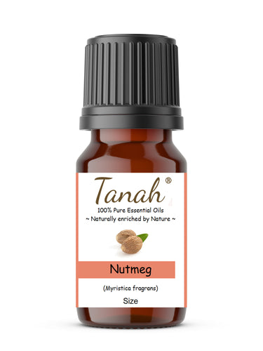 Nutmeg (India) essential oil (Myristica fragrans) | Where to buy? Tanah Essential Oil Company | Retail |  Wholesale | Australia