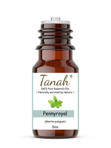 Pennyroyal (America) essential oil (Mentha pulegium) | Tanah Essential Oil Company