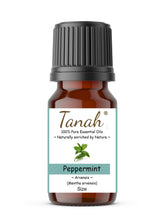 Load image into Gallery viewer, Peppermint Arvensis (Australia) essential oil (Mentha arvensis) | Tanah Essential Oil Company
