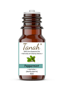 Peppermint (Australia) essential oil (Mentha piperita) | Tanah Essential Oil Company