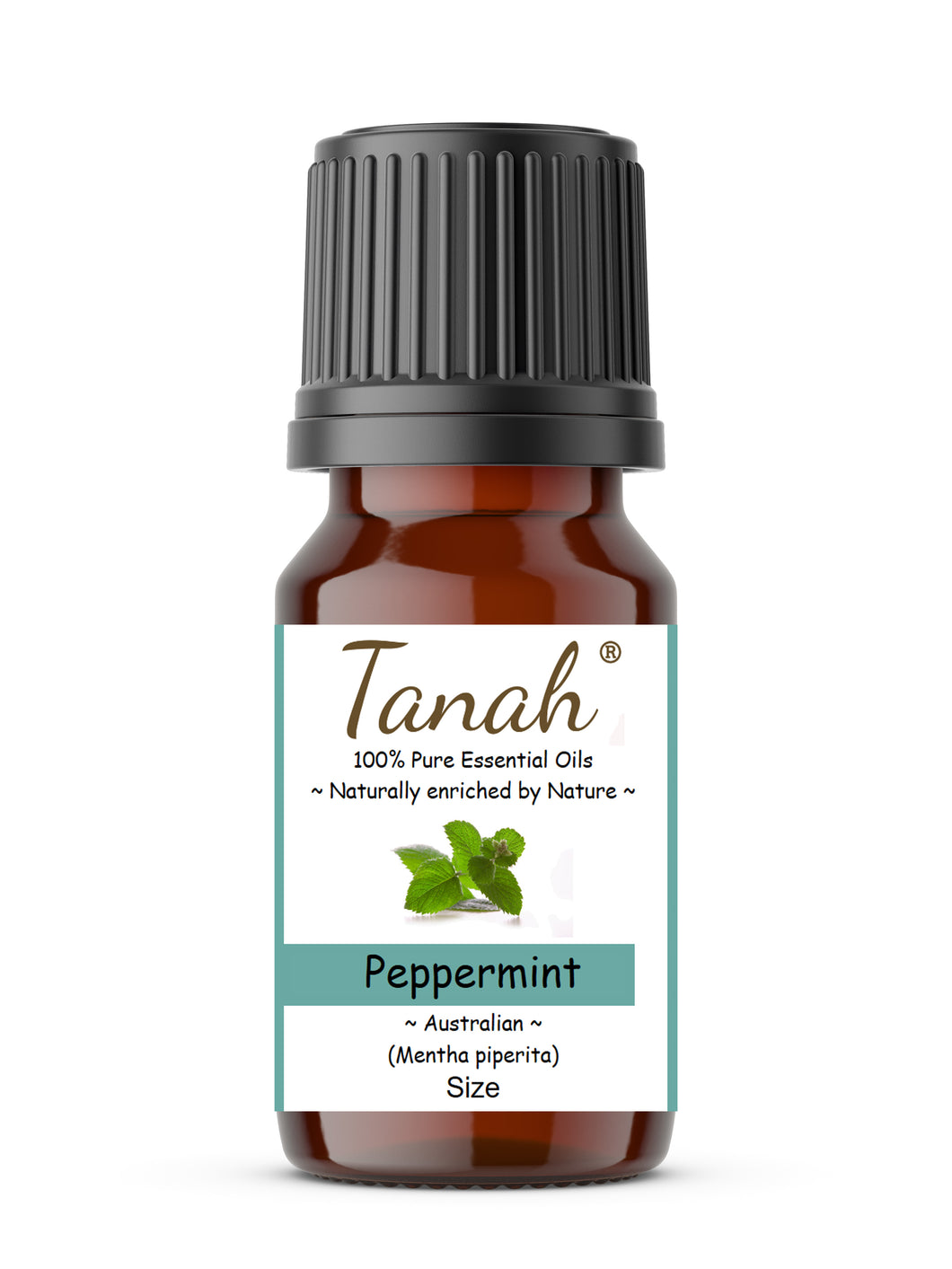 Peppermint (Australia) essential oil (Mentha piperita) | Tanah Essential Oil Company