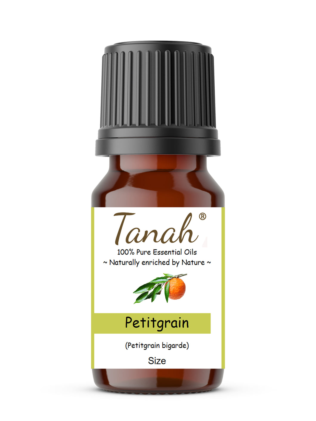Petitgrain (Paraguay) essential oil (Petitgrain bigarde) | Tanah Essential Oil Company