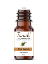 Load image into Gallery viewer, Pine Scotch (Pinus sylvestris) essential oil (Pinus sylvestris) | Tanah Essential Oil Company

