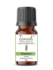 Rosemary (Spain) essential oil (Rosmarinus officinalis) | Where to buy? Tanah Essential Oil Company | Retail |  Wholesale | Australia