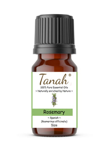 Rosemary (Spain) essential oil (Rosmarinus officinalis) | Where to buy? Tanah Essential Oil Company | Retail |  Wholesale | Australia
