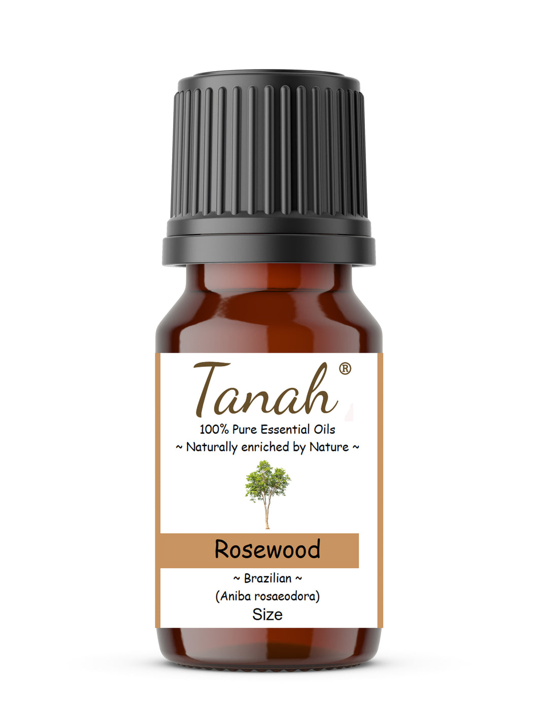 Rosewood (Brazil) essential oil (Aniba rosaeodora) | Where to buy? Tanah Essential Oil Company | Retail |  Wholesale | Australia