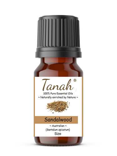 Sandalwood (Australia) essential oil (Santalum Spicatum) | Where to buy? Tanah Essential Oil Company | Retail |  Wholesale | Australia