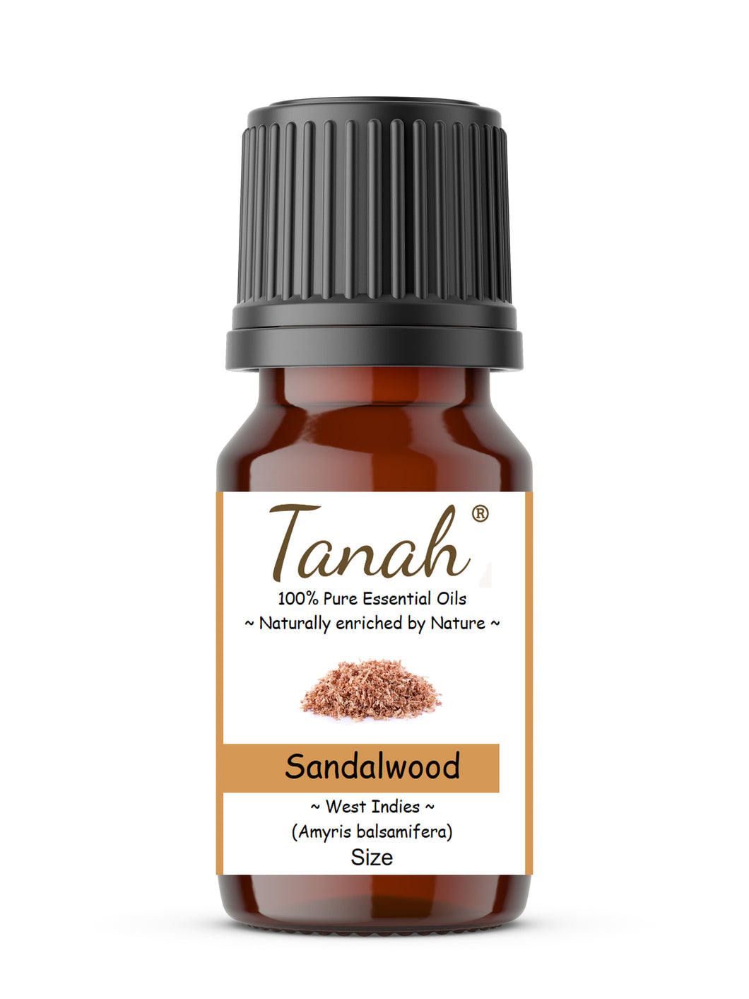 Sandalwood (West Indies) essential oil (Amyris balsamifera) | Where to buy? Tanah Essential Oil Company | Retail |  Wholesale | Australia