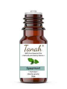 Spearmint (Australia) essential oil (Mentha spicata) | Tanah Essential Oil Company