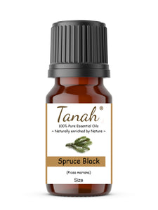 Spruce Black (Canada) essential oil (Picea mariana) | Where to buy? Tanah Essential Oil Company | Retail |  Wholesale | Australia
