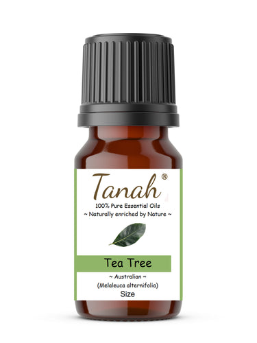 Tea Tree (Australia) essential oil (Melaleuca alternifolia) | Where to buy? Tanah Essential Oil Company | Retail |  Wholesale | Australia